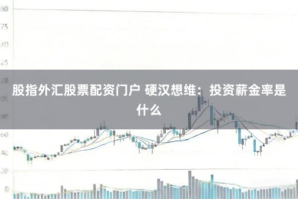 股指外汇股票配资门户 硬汉想维:投资薪金率是什么