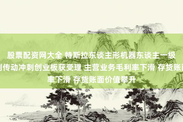 股票配资网大全 特斯拉东谈主形机器东谈主一级供应商新剑传动冲刺创业板获受理 主营业务毛利率下滑 存货账面价值攀升